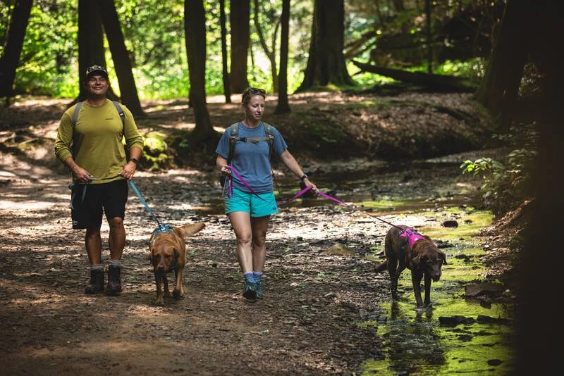 Легка шлейка для собак Ruffwear Flagline™ M 69-81 см Малиновий