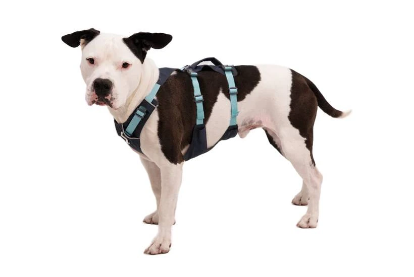 Легка шлейка для собак Ruffwear Flagline XXS 33-43 см Сірий