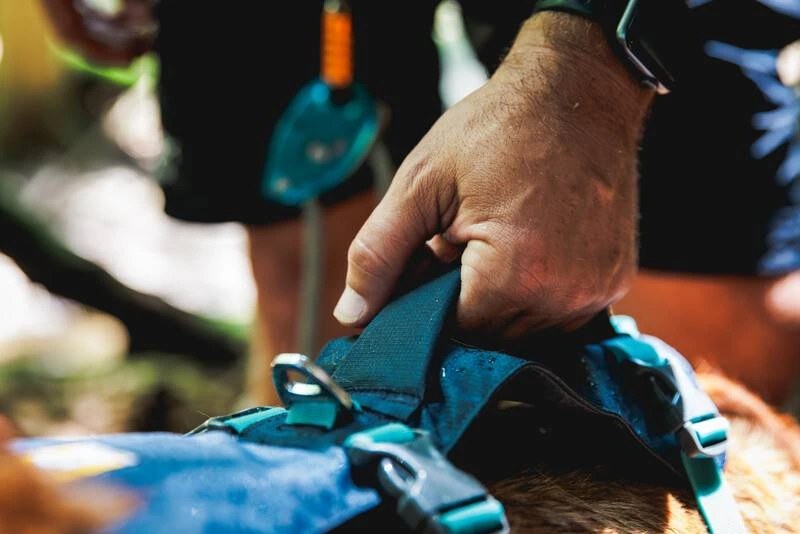 Легка шлейка для собак Ruffwear Flagline XXS 33-43 см Сірий