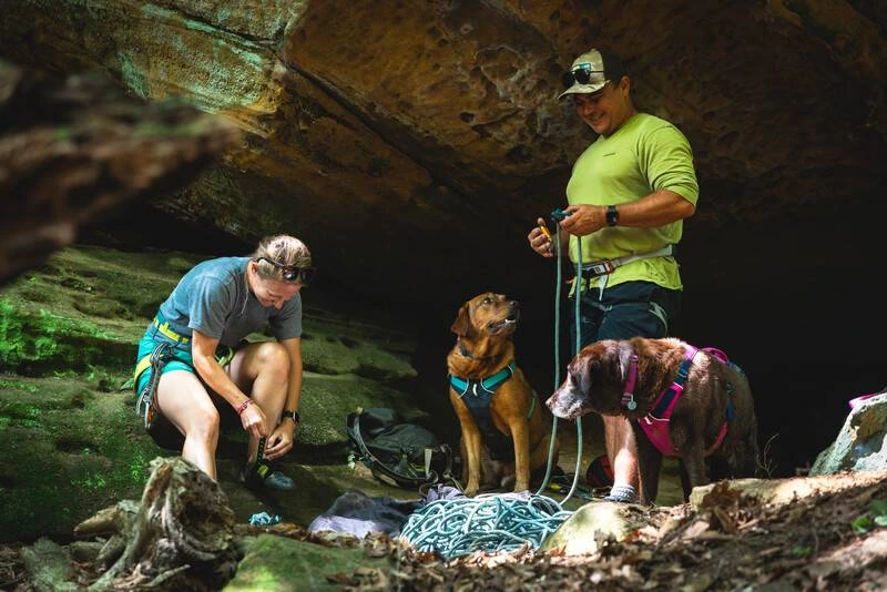 Легка шлейка для собак Ruffwear Flagline™ L/XL 81-107 см Сірий