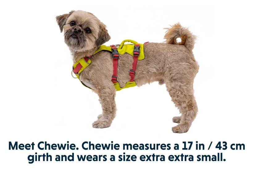 Легкая шлейка для собак Ruffwear Flagline™ XXS 33-43 см Желтый