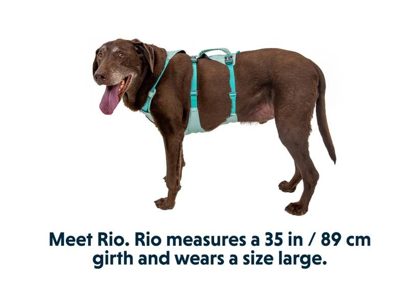 Легка шлейка для собак Ruffwear Flagline™ M 69-81 см Зелений