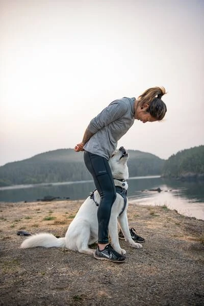 Повседневная шлейка для собак Ruffwear Front Range® XXS 33-43 см Серый