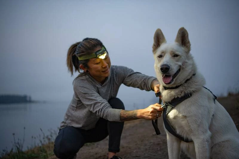 Повседневная шлейка для собак Ruffwear Front Range® XXS 33-43 см Серый