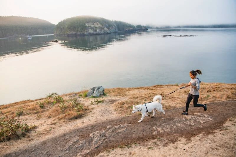Повседневная шлейка для собак Ruffwear Front Range® XXS 33-43 см Серый