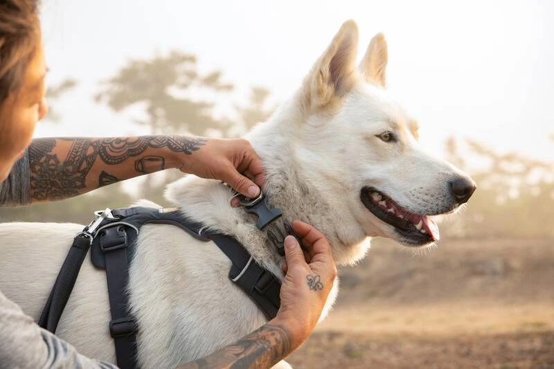 Повседневная шлейка для собак Ruffwear Front Range® XXS 33-43 см Серый