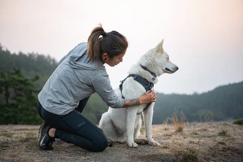 Повсякденна шлейка для собак Ruffwear Front Range® XS 43-56 см Сірий