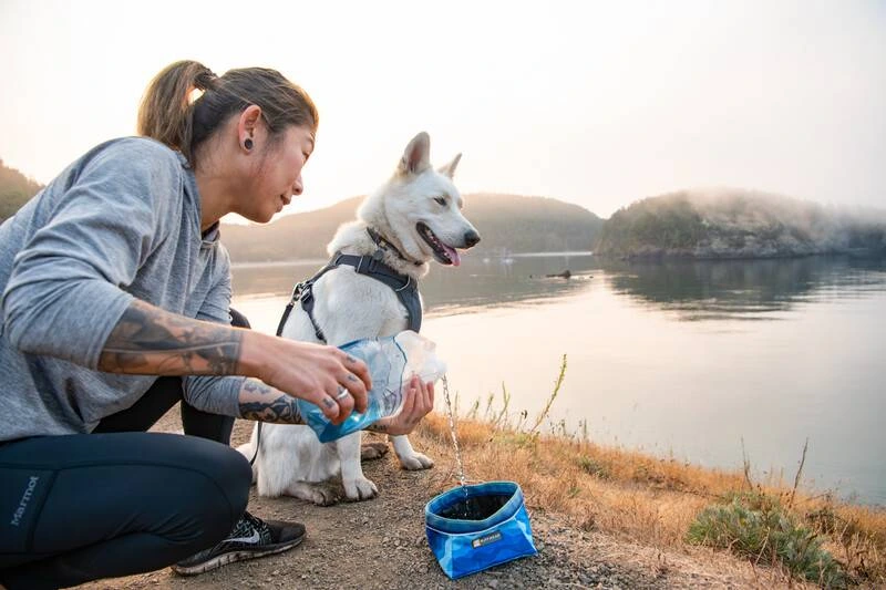 Повсякденна шлейка для собак Ruffwear Front Range® XS 43-56 см Сірий