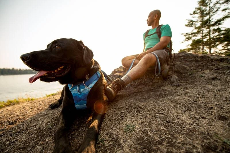 Повседневная шлейка для собак Ruffwear Front Range® L/XL 81-107 см Сине-голубой
