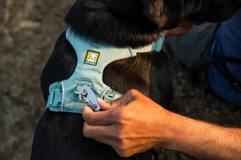 Повседневная шлейка для собак Ruffwear Front Range® XXS 33-43 см Зеленый