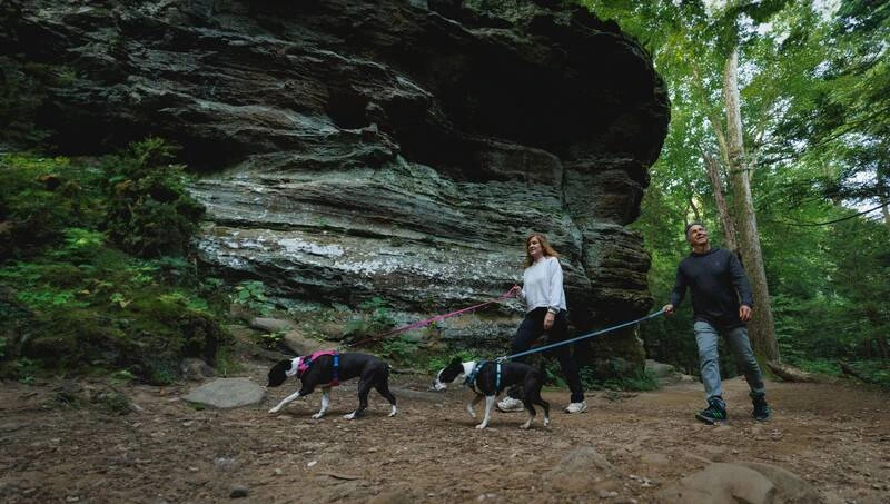 Полегшена шлейка для собак Ruffwear Hi & Light™ XXXS 23-33 см Малиновий