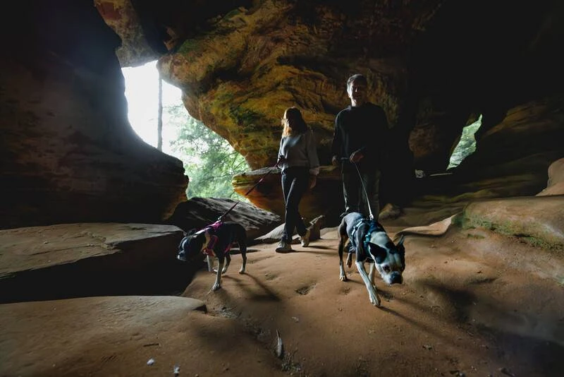 Полегшена шлейка для собак Ruffwear Hi & Light L/XL 81-107 см Сірий