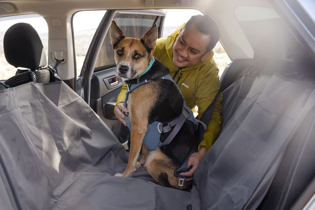 Автошлейка для собак Ruffwear Load Up™ L/XL 81-107 см Синий