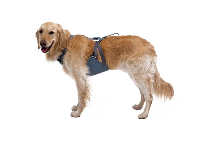 Автошлейка для собак Ruffwear Load Up™ L/XL 81-107 см Синий