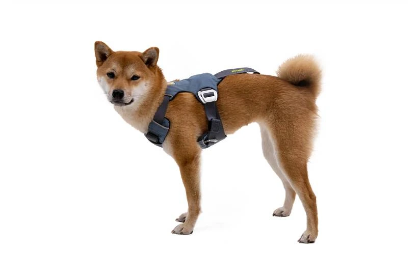 Автошлейка для собак Ruffwear Load Up™ L/XL 81-107 см Синий