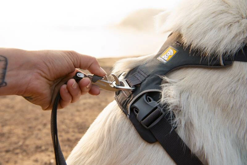 Повсякденний повідець для собак Ruffwear Front Range™ Сірий