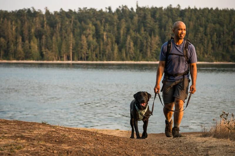 Повсякденний повідець для собак Ruffwear Front Range™ Сірий