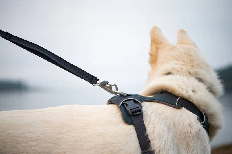 Повсякденний повідець для собак Ruffwear Front Range™ Сірий