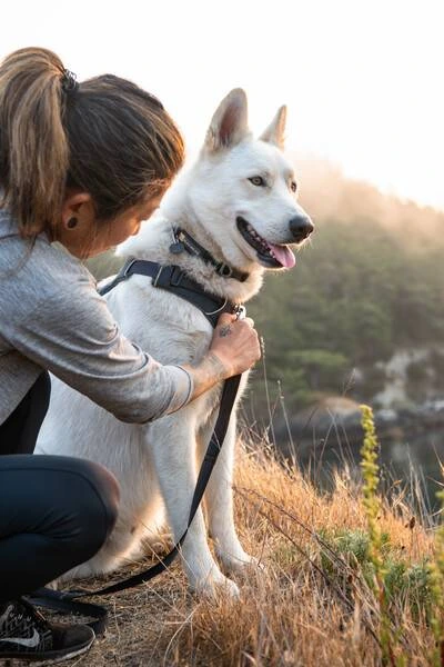 Повсякденний повідець для собак Ruffwear Front Range™ Сірий