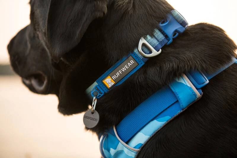 Повсякденний повідець для собак Ruffwear Front Range™ Блакитно-синій