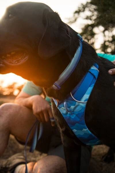 Повсякденний повідець для собак Ruffwear Front Range™ Блакитно-синій