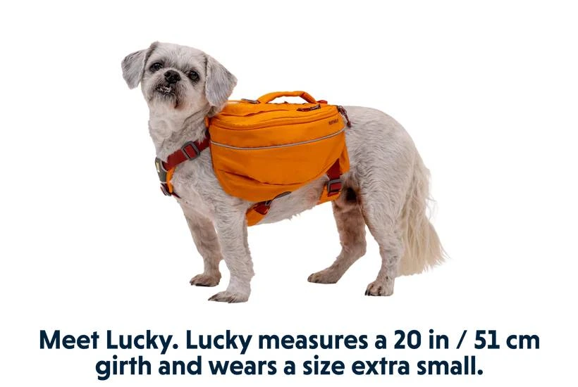 Шлейка-рюкзак для собаки Ruffwear Approach™ XS Оранжевый