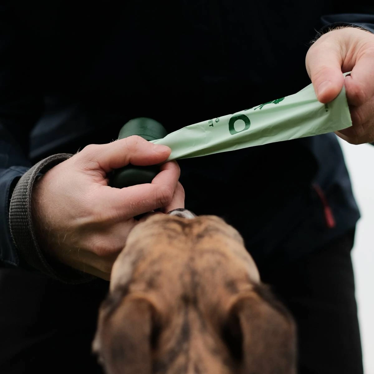 Одноразовые пакетики для уборки за собаками Beco Pets с запахом мяты 60 шт (4 рулона по 15 шт)