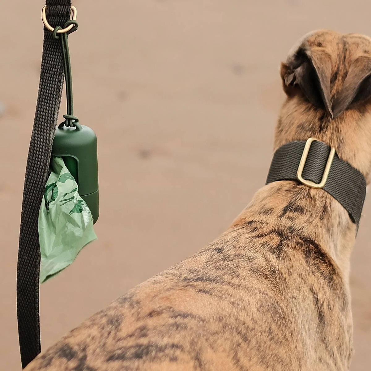 Диспенсер для пакетиков Beco Pets Poop Bag на 15 шт.