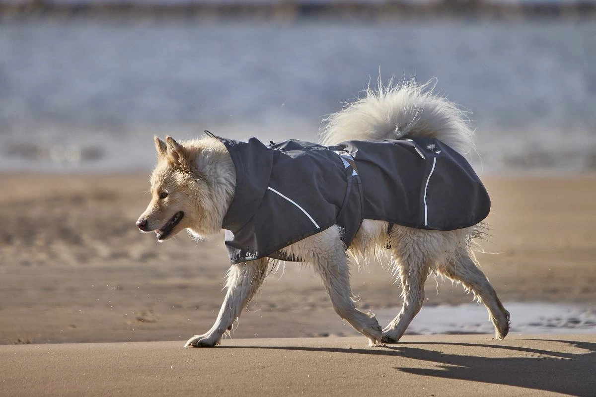 Дощовик для собак Hurtta Mudventure Coat ECO 40 Сірий