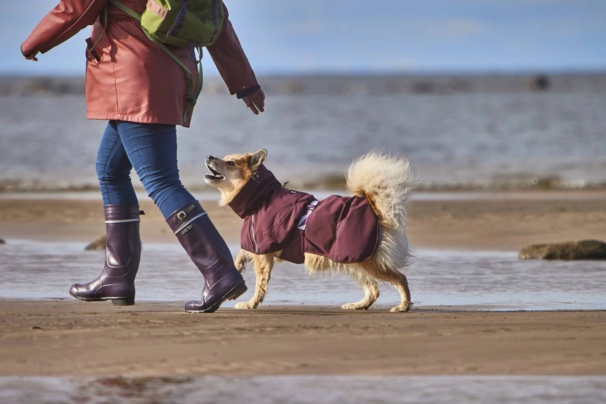 Дождевик для собак Hurtta Mudventure Coat ECO 30 Фиолетовый