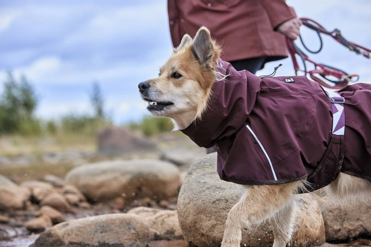 Дождевик для собак Hurtta Mudventure Coat ECO 65 Фиолетовый