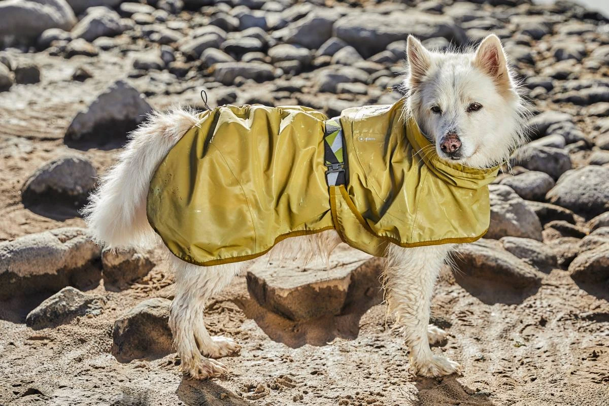 Рефлекторний дощовик для собак Hurtta Mudventure Reflective Coat 35 Жовтий