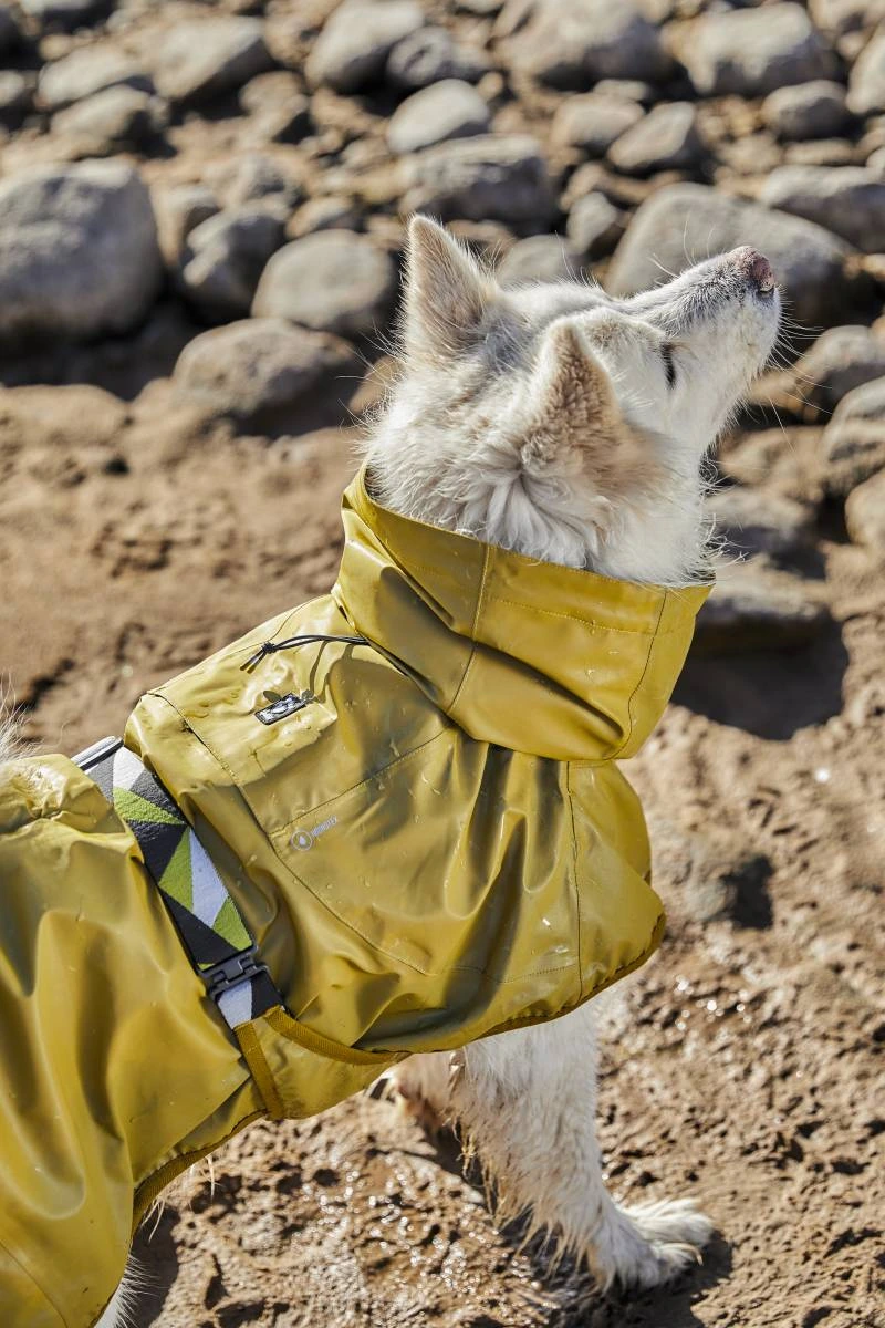 Рефлекторний дощовик для собак Hurtta Mudventure Reflective Coat 45 Жовтий