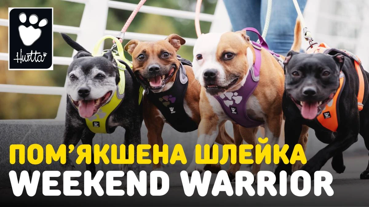 Шлейка для собак пом'якшена Hurtta Weekend Warrior 100-120 см Бірюзовий