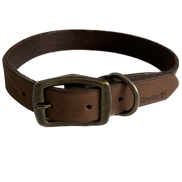 Нашийник для собак Coastal Rustic, Шоколадний, 2.5х55см