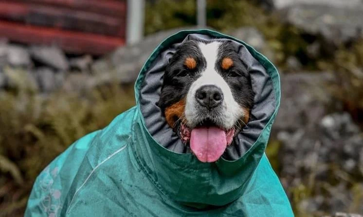 Дождевик для собак Hurtta Monsoon coat II ECO Бирюзовый 45