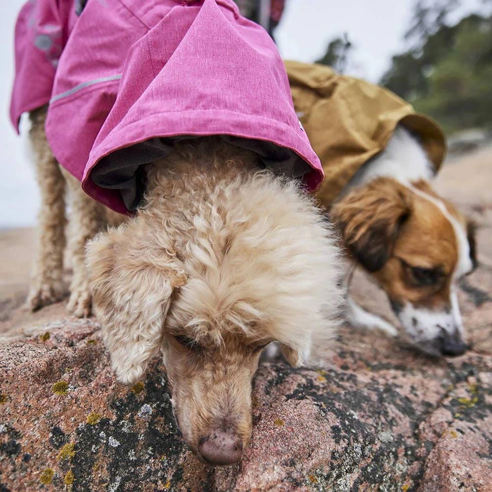Дощовик для собак Hurtta Monsoon coat II ECO Рожевий 25