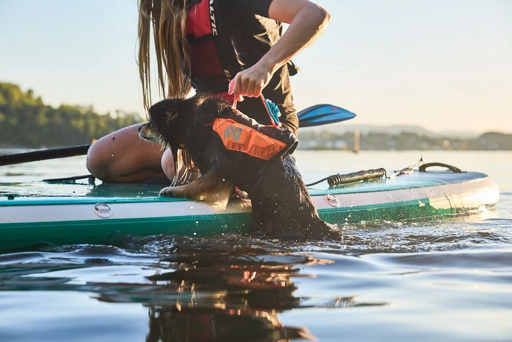 Рятувальний жилет для собак Protector life jacket Non-stop dogwear Чорний/Помаранчевий 3