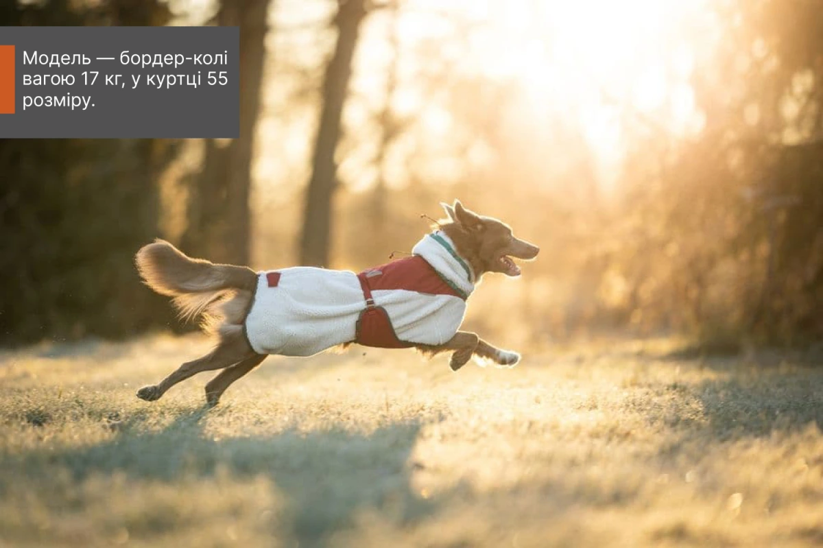Флісова куртка для собак Trekking fleece jacket Non-stop dogwear Сірий/Винний/Бірюзовий 40