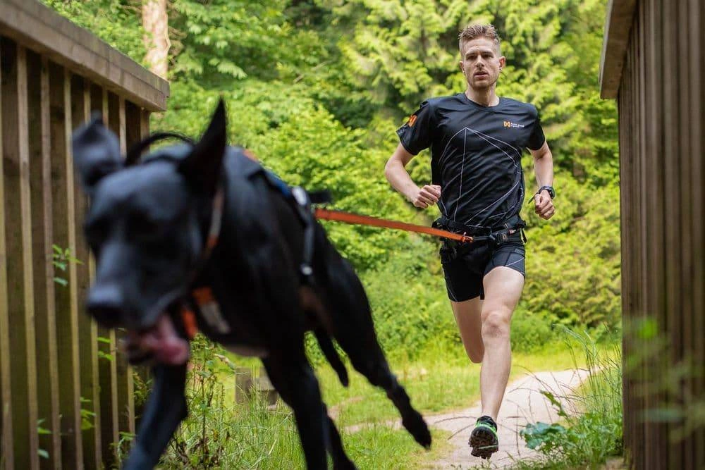 Повідець для собак Bungee leash Non-stop dogwear Чорний/Помаранчевий 2,8 м/23 мм