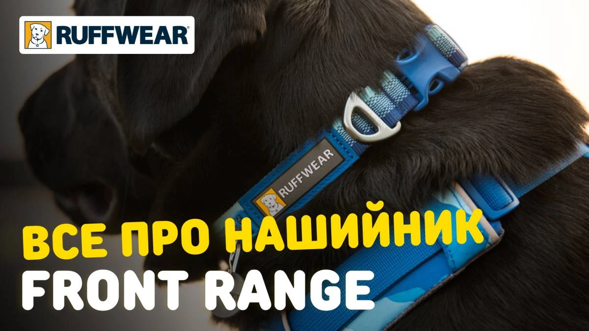Повсякденний нашийник для собак Ruffwear Front Range™ 36-51 см Фіолетовий