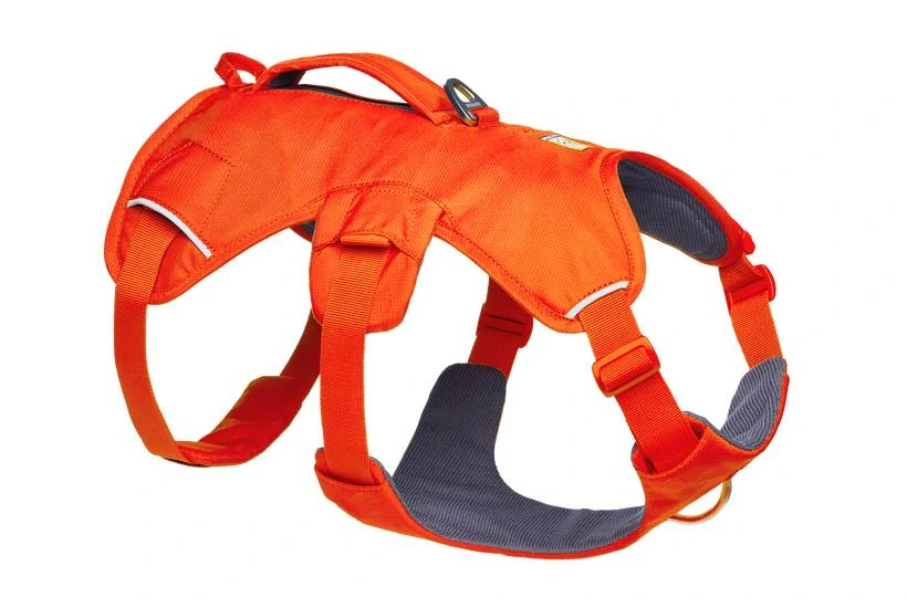 Підтримуюча шлейка для службових собак Ruffwear Web Master™ XS 43-56 см Яскраво-Помаранчевий