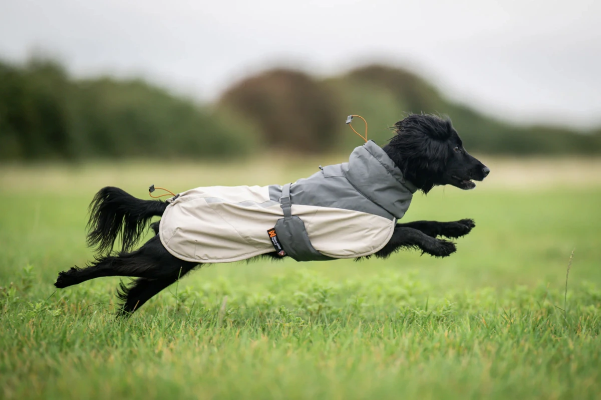 Зимова куртка для собак Glacier wool jacket 3.0 Non-stop dogwear Сірий 45