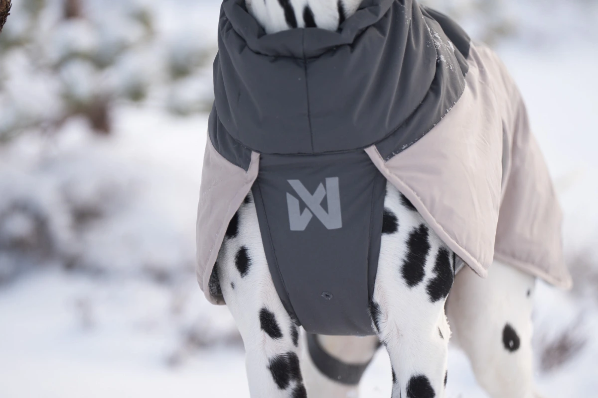 Зимова куртка для собак Glacier wool jacket 3.0 Non-stop dogwear Сірий 45