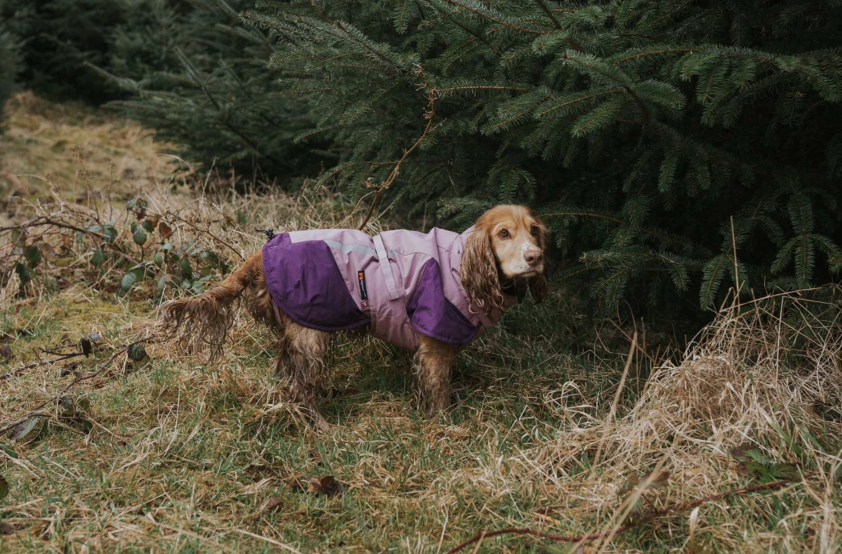 Тепла зимова куртка для собак Glacier jacket 3.0 Non-stop dogwear Фіолетовий 50
