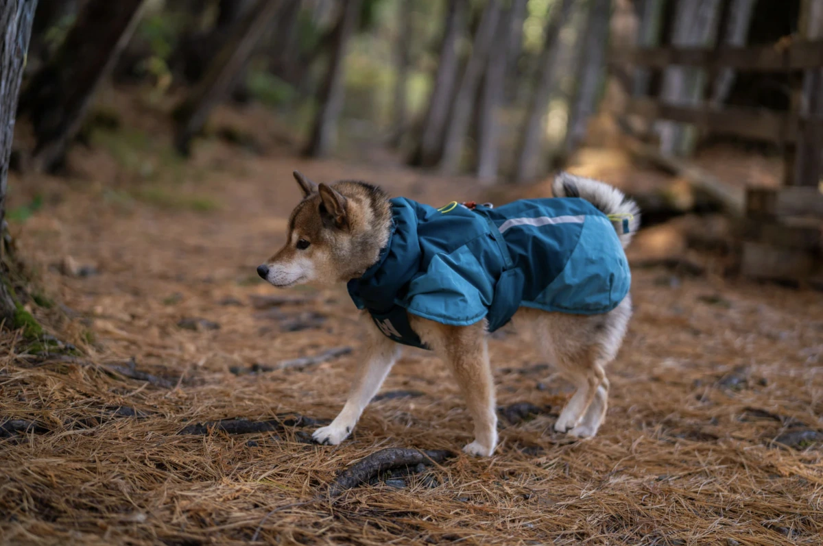Тепла зимова куртка для собак Glacier jacket 3.0 Non-stop dogwear Бірюзовий 70