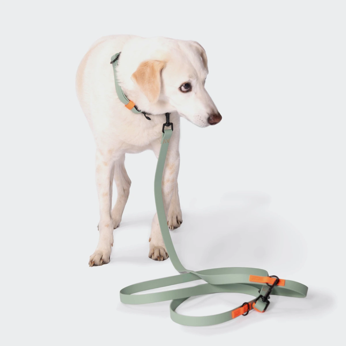 Биотановый поводок свободные руки для собак Cloud7 Hands-Free-Leash Ipanema Мятный 1,6 - 2,6 м One Size