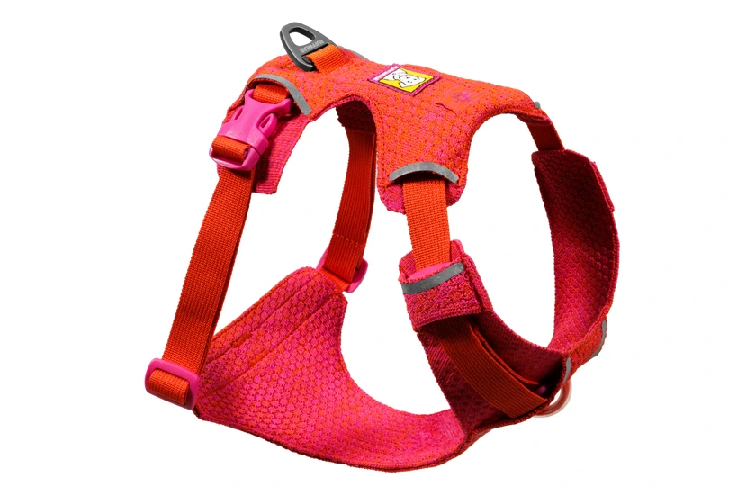 Шлея для собак Ruffwear Front Range® Flex Harness L/XL Рожево-фіолетовий