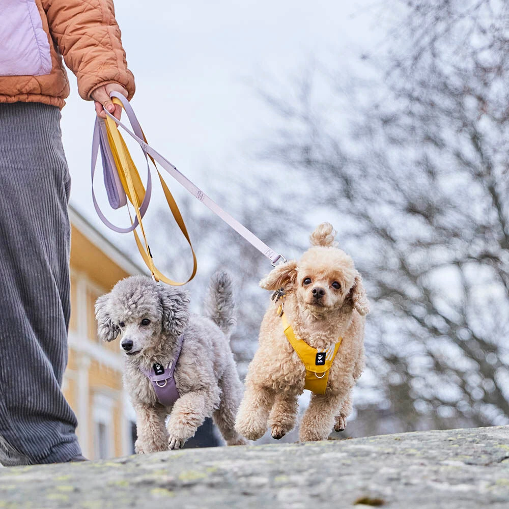 Поводок для собак Hurtta Seeker Standard Leash 180 см / 15 мм Желтый