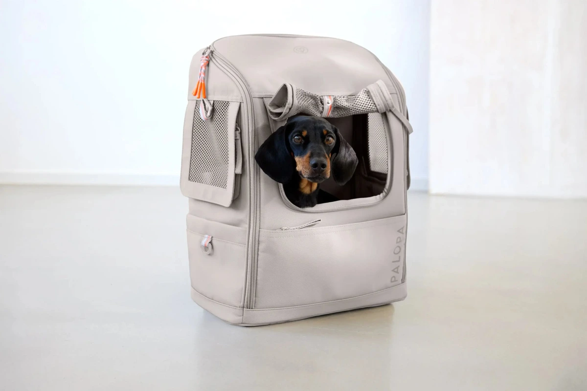 Рюкзак-переноска для собак Palopa Carrier Backpack Kari M Бежевий